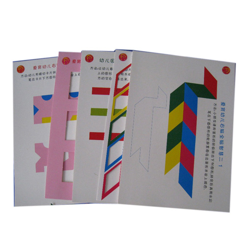 愛(ài)育幼育右腦特色班課程幼兒園小班下學(xué)期右腦全腦開(kāi)發(fā)教學(xué)具