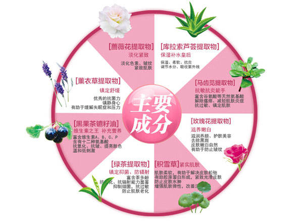 紐如蘭牛奶舒柔潔面霜