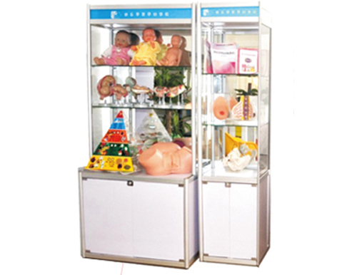 快樂(lè)孕育孕婦學(xué)校教學(xué)用具