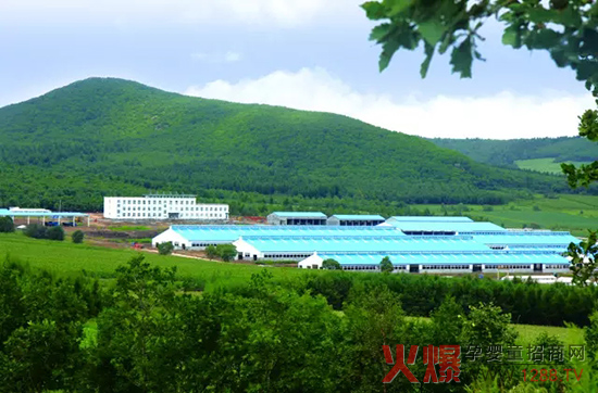 l(f)չ(sh)w(jng)(j)_(d)ɽЄ(dng)