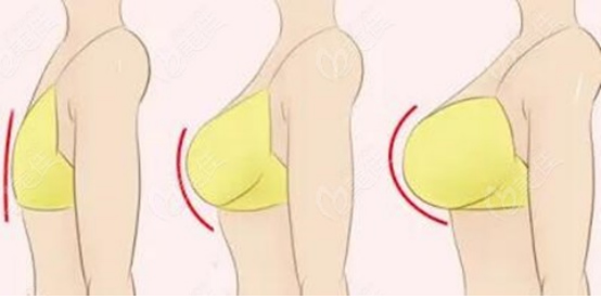 鑫琦.jpg 鑫琦.jpg