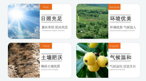 產(chǎn)品產(chǎn)地環(huán)境.jpg 產(chǎn)品產(chǎn)地環(huán)境.jpg