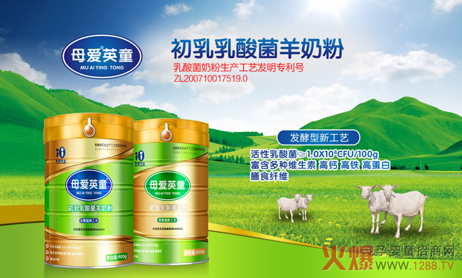 (zhn)pʮһu(ji)ҪĸӢ̷ͯ@ӵĺîa(chn)Ʒ