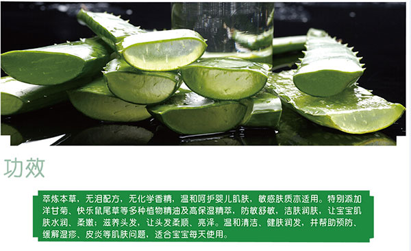 蘆薈gongx作用.jpg 蘆薈gongx作用.jpg