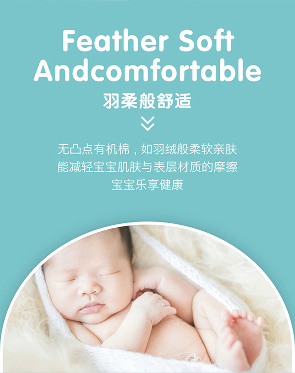 愛丁寶貝山茶油拉拉褲7.jpg 愛丁寶貝山茶油拉拉褲7.jpg