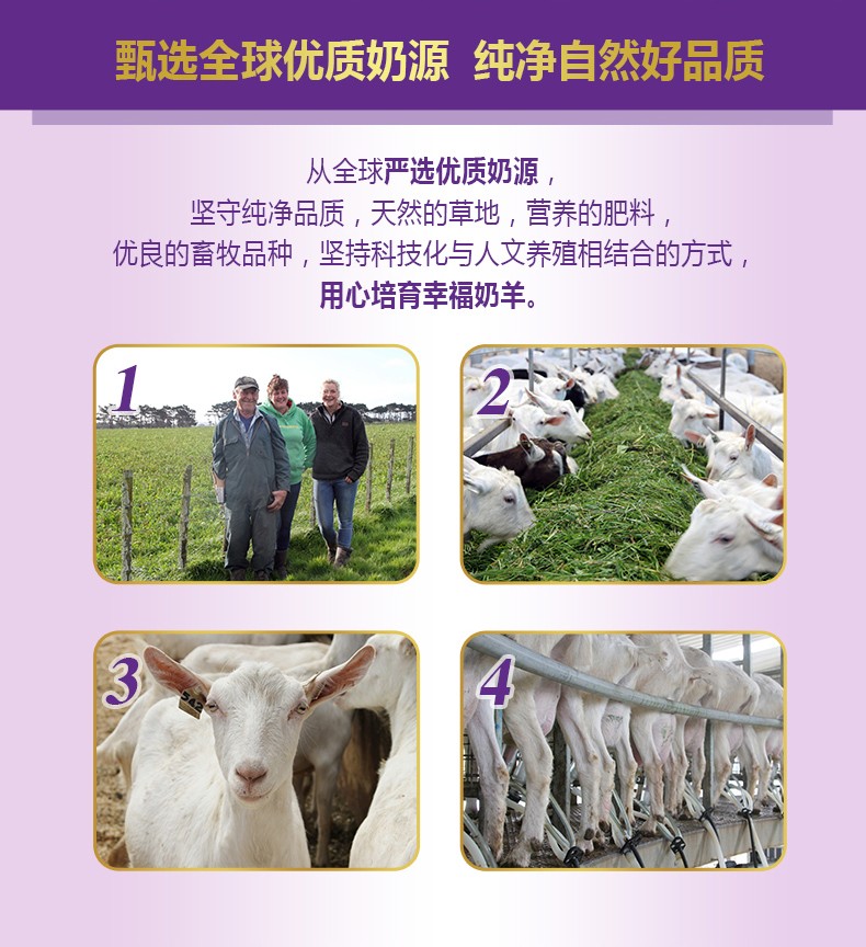  �����׃��䷽���̷ۣ�12-36���g��3�Σ�_03