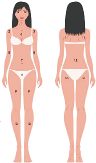 經(jīng)筋纖體療法.jpg 經(jīng)筋纖體療法.jpg