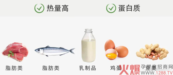 LOUVRERm؛ | ôԲź@һƪ͉