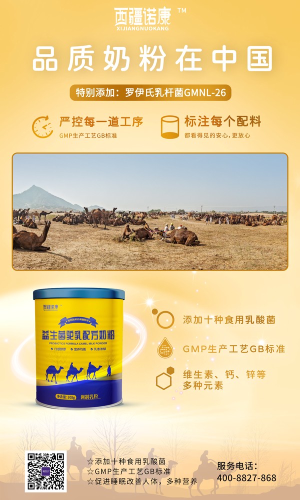 西疆諾康益生菌駝乳配方奶粉2