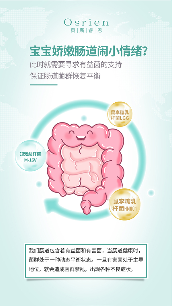 奧斯睿恩復(fù)合型益生菌滴劑小綠瓶詳情_(kāi)06.jpg