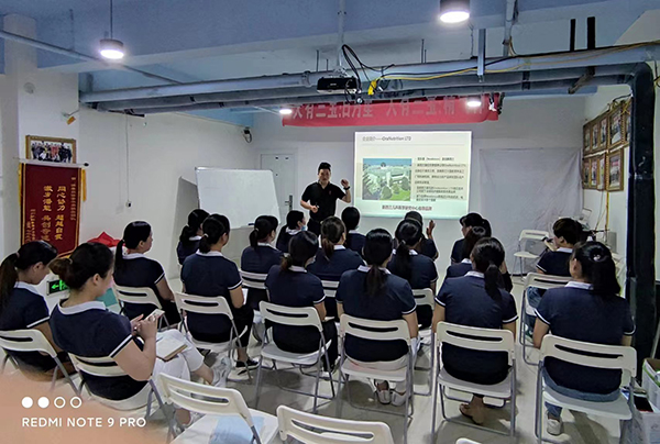 “紐樂曼”走進安陽滑縣 產品知識培訓活動火熱開啟5.jpg “紐樂曼”走進安陽滑縣 產品知識培訓活動火熱開啟5.jpg