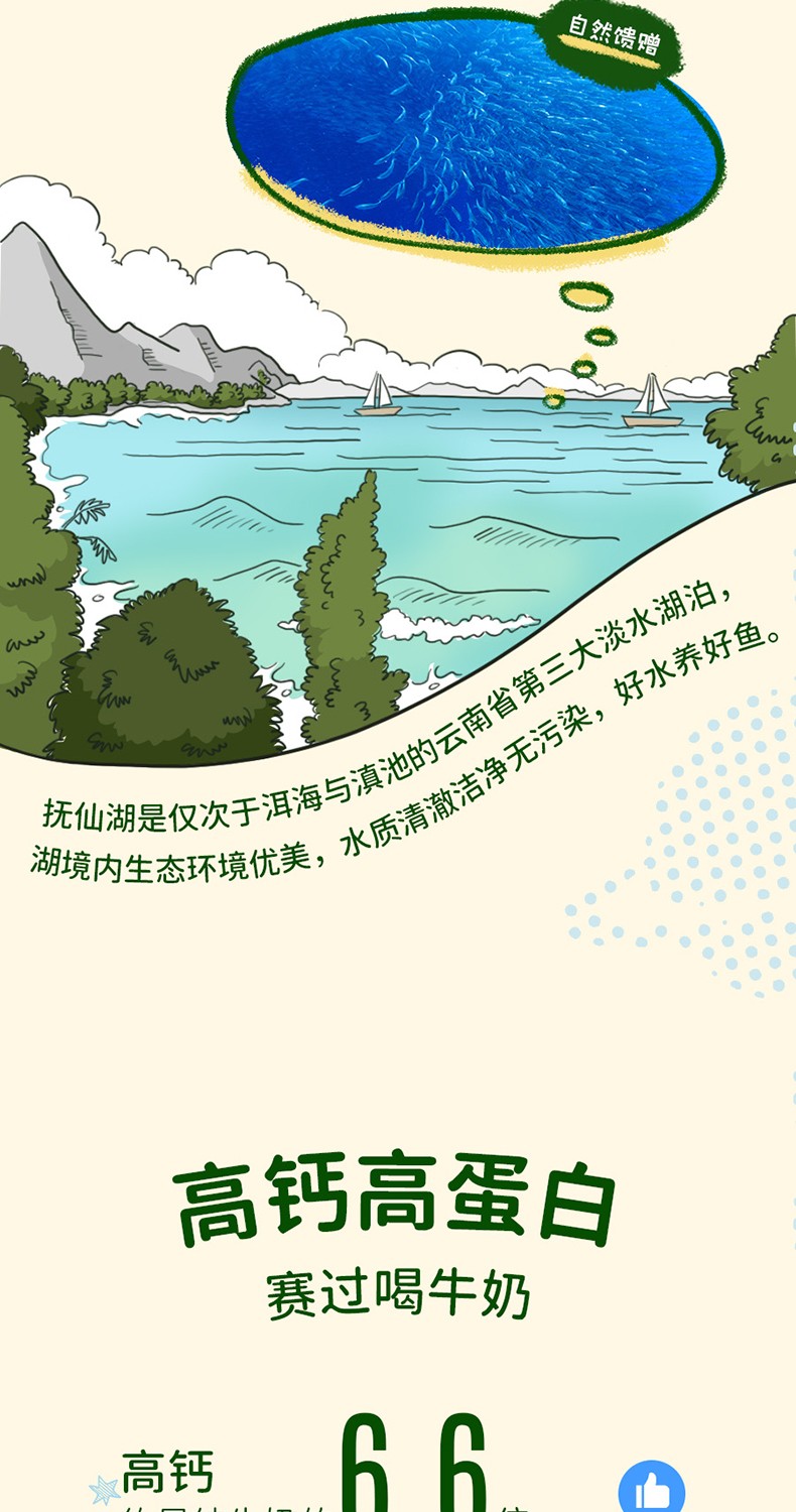 星圃高鈣淡水小銀魚(yú)詳情2.jpg