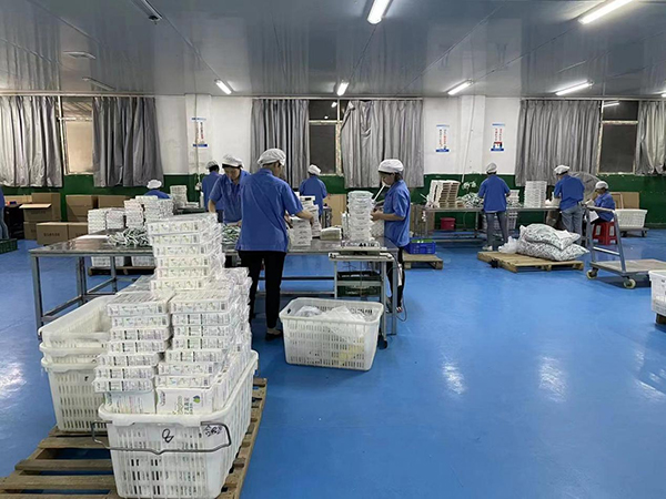 無(wú)菌無(wú)塵車(chē)間.jpg 無(wú)菌無(wú)塵車(chē)間.jpg