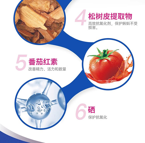 vitabiotics薇塔貝爾男士備孕綜合營(yíng)養(yǎng)片 (2).jpg