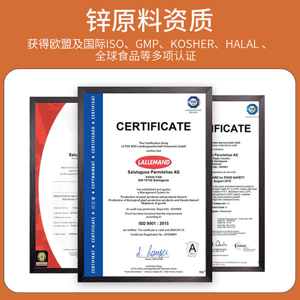 圣諾熊綜合酵素鋅酵母粉固體飲料主圖 (5).jpg