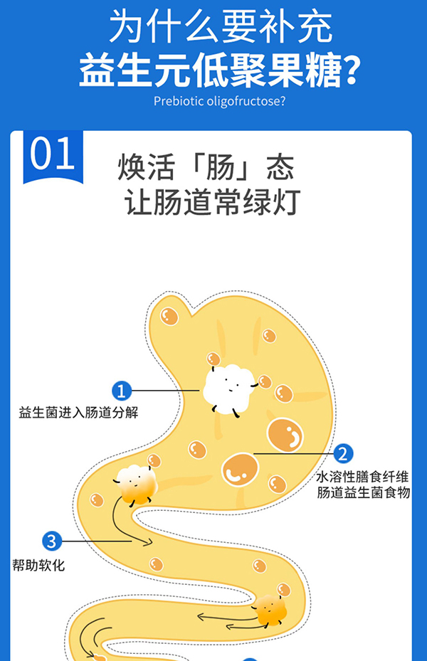 圣諾熊益生菌低聚果糖飲品詳情圖 (6).jpg
