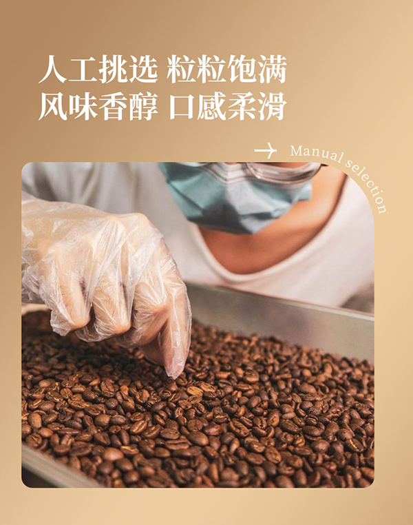 媽媽必慧龍益生菌掛耳咖啡詳情 (5).jpg