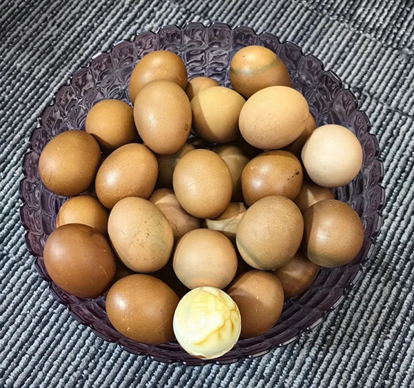 施貝安新模式分享會(huì)(鄭州站)圓滿落幕5.jpg 施貝安新模式分享會(huì)(鄭州站)圓滿落幕5.jpg