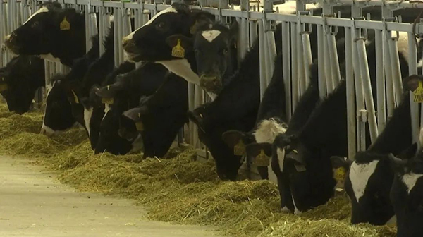 圖片6.jpg 圖片6.jpg