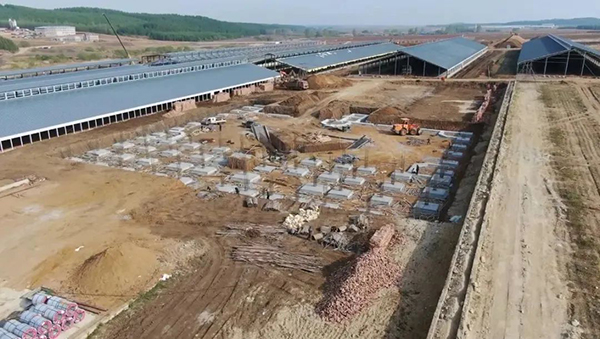 圖片7.jpg 圖片7.jpg