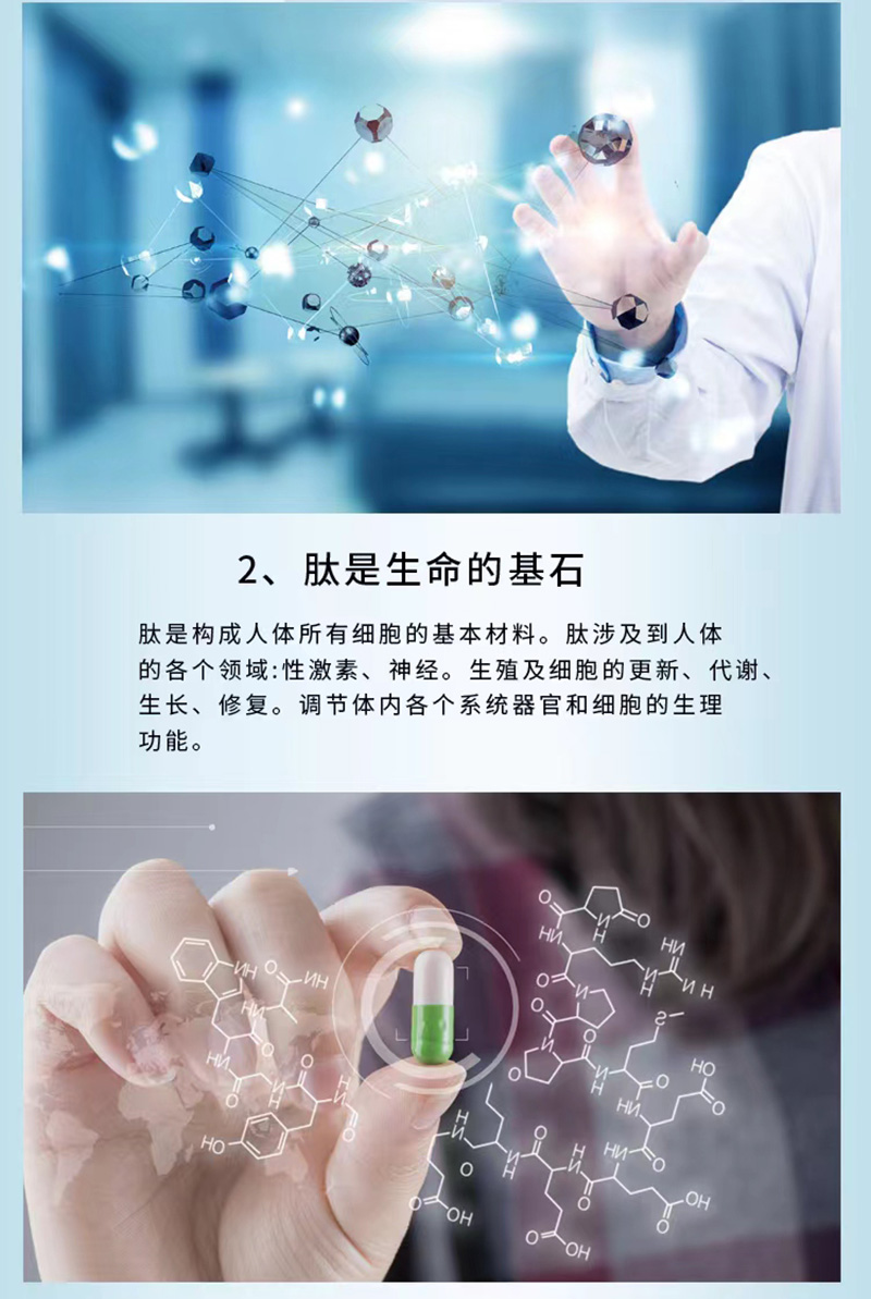 肽上煌小分子活性肽_03.jpg