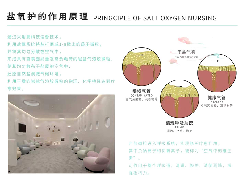 洛洛森林鹽氧護(hù)作用原理.jpg