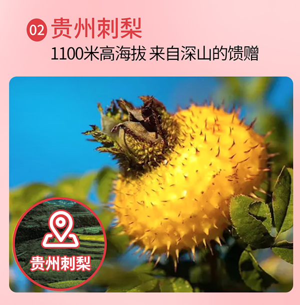 英貝健針葉櫻桃維生素C飲品 (6).jpg