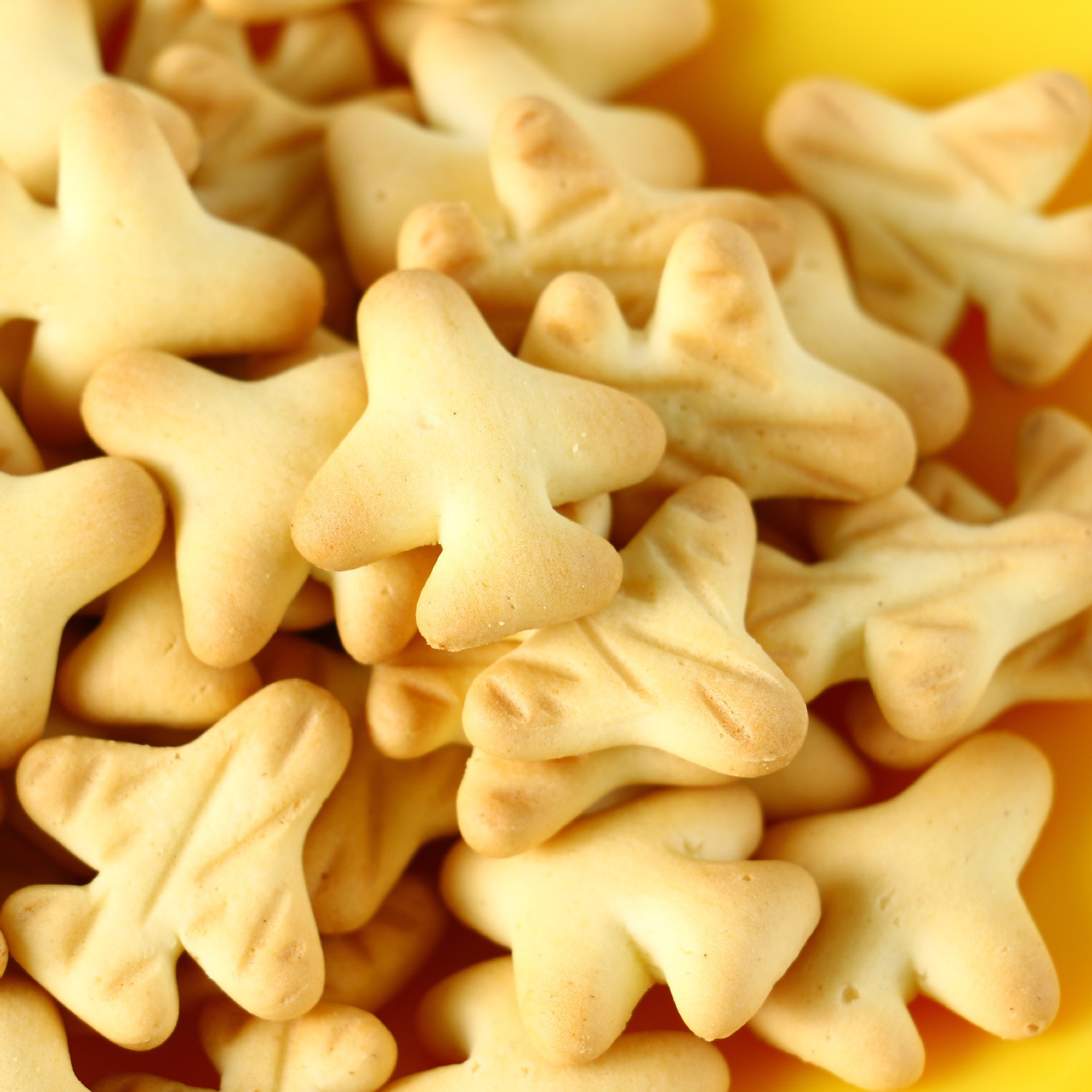 兒童果蔬餅干 (14).jpg