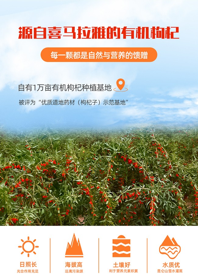 呀啦嗦有機枸杞原漿詳情 (5).jpg
