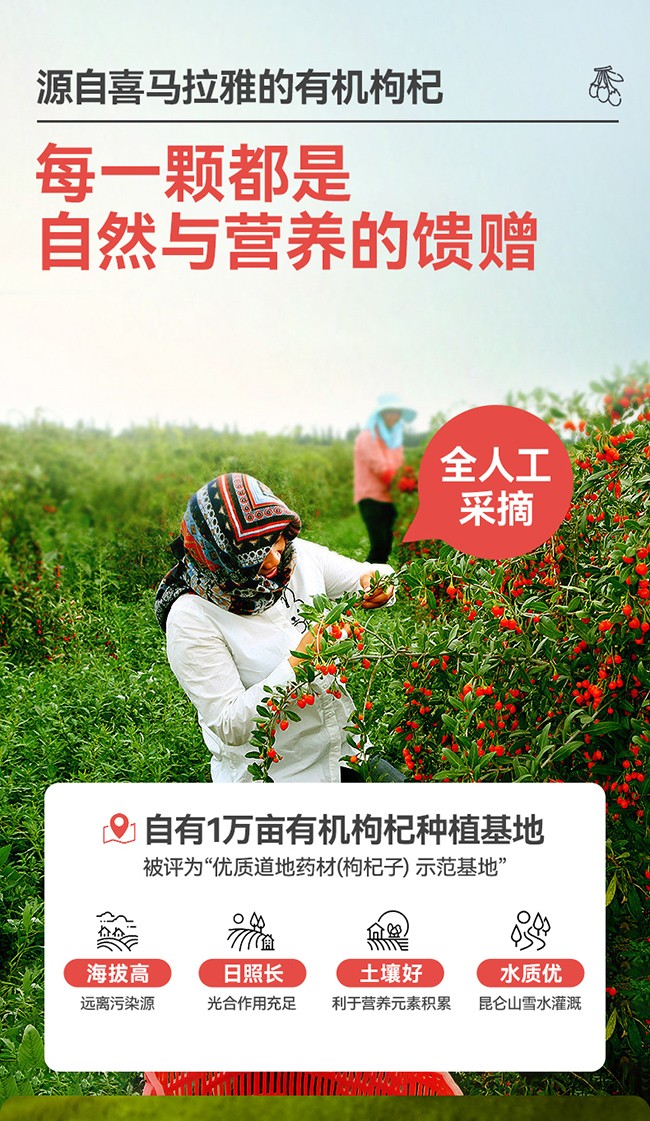 呀啦嗦有機(jī)枸杞原漿詳情 (7).jpg