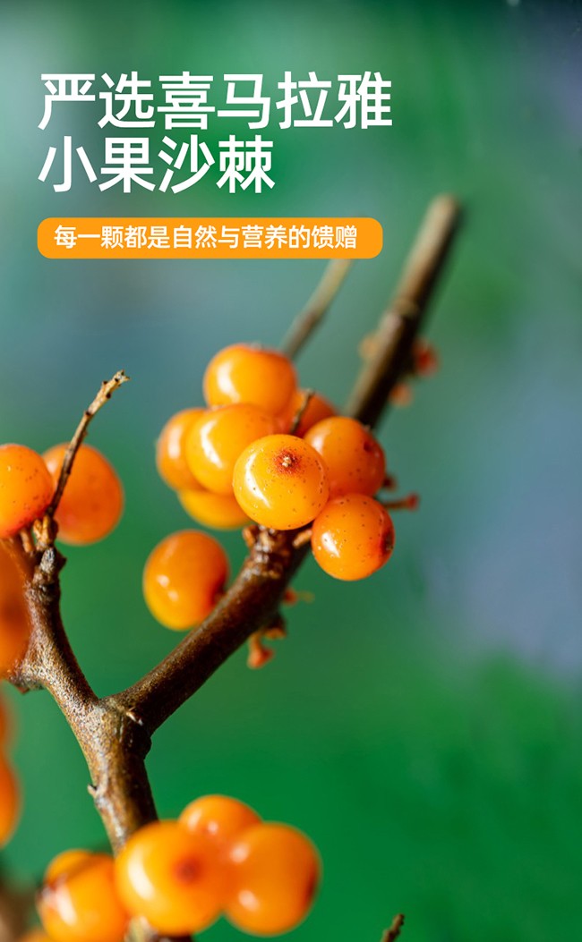 呀啦嗦有機沙棘原漿詳情 (10).jpg