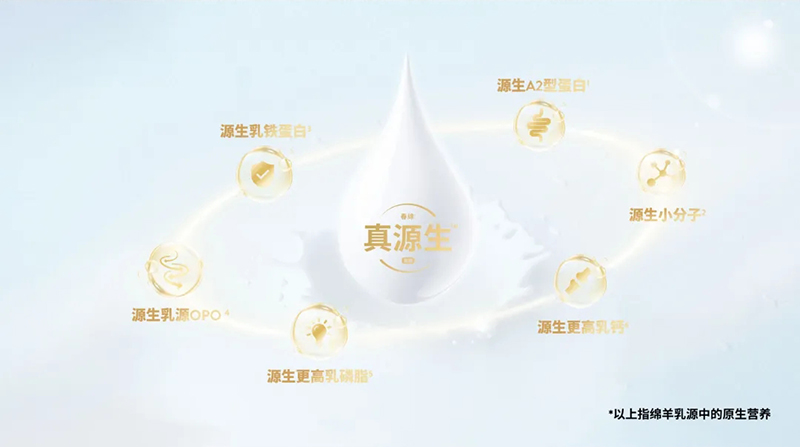 Spring Sheepdȫd׃̷^(gu)ע@GCBME06.jpg