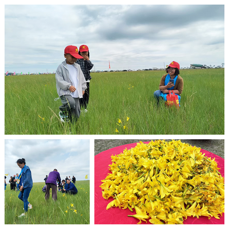 華丹乳業(yè)第七屆草原文化節(jié)5.jpg 華丹乳業(yè)第七屆草原文化節(jié)5.jpg