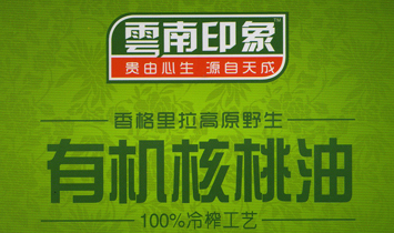 ����ӡ�󽡿��a�I(y��)Ͷ�Y�l(f��)չ���޹�˾