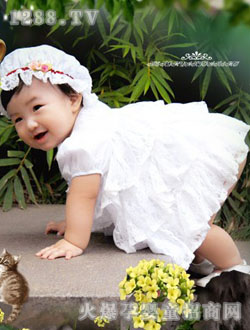 ֥_(ki)T(mn)zӰ{(dio)Ƥ