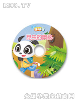 �ɻ۹����x�ĊW��DVD
