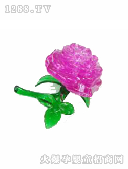 ����ƴ�bõ�廨