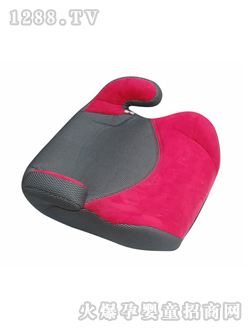 ��ͯ��ȫ����DSC_0322