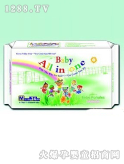 Baby All IN ONE嬰兒紙尿褲M(mǎn)24