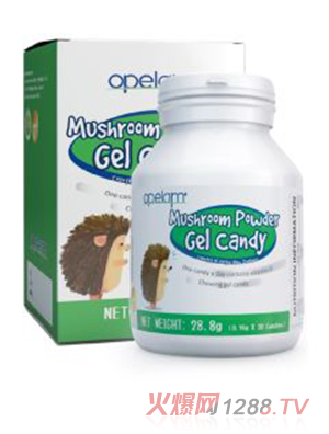 �W����Ģ�������z�ǹ�