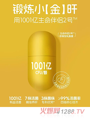 貝因美生命伴侶2號(hào)即食型乳酸菌