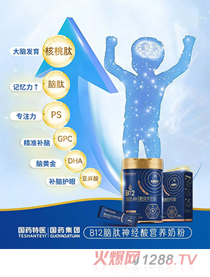 國(guó)藥特醫(yī)B12腦肽神經(jīng)酸營(yíng)養(yǎng)奶粉