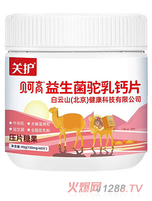 �P(gu��n)�o(h��)ؐ�ɸ�����������}Ƭ